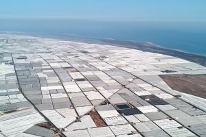 Invernaderos de Almería.