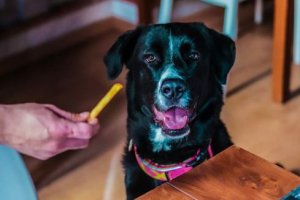 Imagen compartida por la hamburguesería para anunciar su decisión.