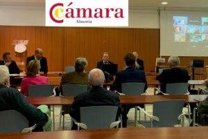 Imagen del pleno de la Cámara.