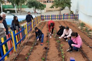 Huerto escolar en el CEIP Clara Campoamor de Huércal.
