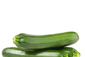 Calabacín de Vicasol.