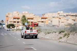 Lucha contra los mosquitos en Roquetas.