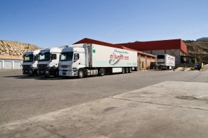 Camiones de la empresa de transportes El Junza.
