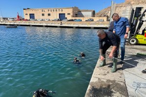 Limpieza de la dársena pesquera.