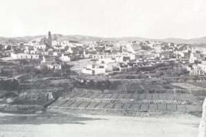 Imagen de archivo de Antas en 1910