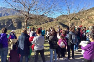 Imagen de archivo de una jornada de repoblación de \'Proyecto Bosque\' en La Alpujarra.