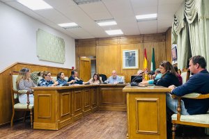 Pleno del Ayuntamiento de Dalías.