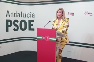Teresa Piqueras, este viernes en rueda de prensa.
