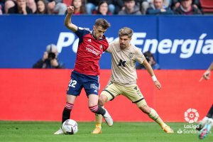 Pozo en el partido Osasuna-Almería.