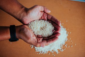 Arroz para tu almuerzo del miércoles.