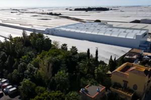 Imagen captura de un fotograma del documental.