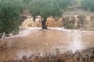 Rambla este lunes en el término municipal de Lubrín.