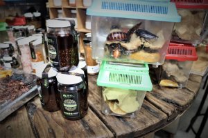 Insectos a la venta en el mercado de San Juan (Ciudad de México)