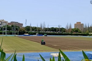 Vista general del Anexo una vez comenzada la resiembra.