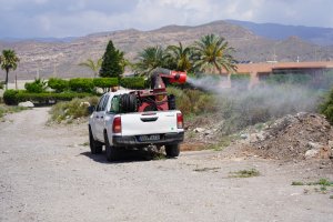 Lucha contra los mosquitos.