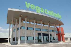 La puja se celebrará esta mañana del viernes en la sala de subastas de Vegacañada