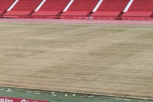 El verano que viene el césped desaparecerá por las obras de la Fase 2 del Mediterráneo.