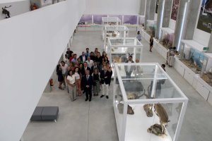 Visita al Museo de Historia Natural.