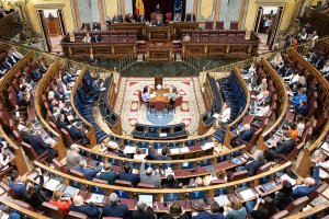 Hemiciclo del Congreso.