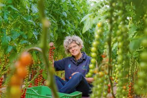 Una imagen de Lola Gómez en su invernadero. Foto de Fruit Today