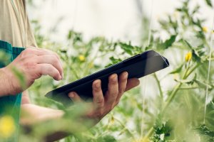 Cuaderno Digital obligatorio en explotaciones agrarias a partir del 1 de enero de 2024