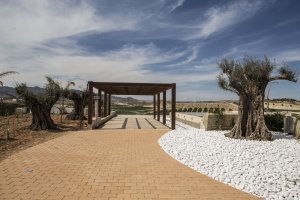 Crianza en barricas francesas durante 25 meses.