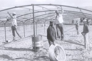 Construcción del primer invernadero \'modelo Almería\'.