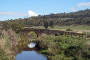 La desconexión y el contacto con la naturaleza son los principales motivos a la hora de elegir esta forma de pasar las vacaciones.