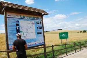 El plan de actuación se ha centrado en la reforestación de la zona de Las Pinedas (en la Carlota) y Guadalcázar.