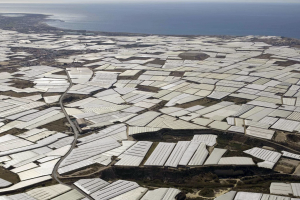 Invernaderos de Almería