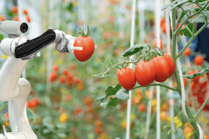 Robótica en invernadero