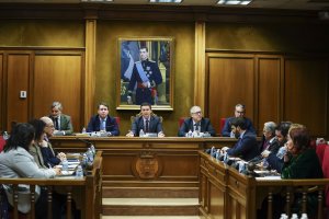 Imagen de archivo de un Pleno en la Diputación Provincial de Almería.