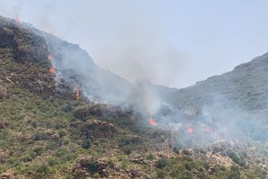 Las llamas en Sierra Cabrera, en el término municipal de Turre.