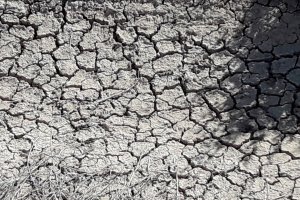 La sequía, una de las dramáticas consecuencias del Cambio Climático