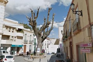 Plaza de la Constitución de Terque.
