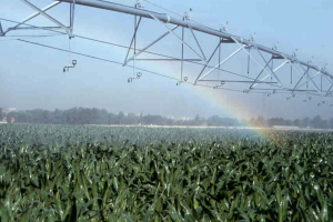 Modernización de regadíos