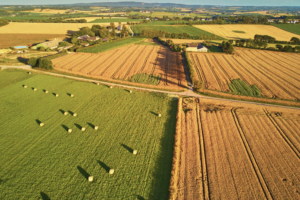 Este año hay 20.000 autónomos menos dedicados al Comercio y la Agricultura que el año pasado