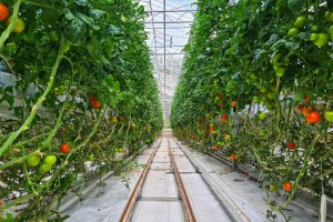 Hay ayudas para proyectos de comunidades de usuarios de agua para regadío.