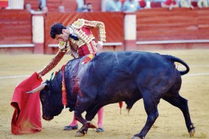 Tomás Rufo, en la Plaza de Toros de Almería en la Feria de 2022.