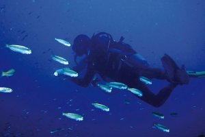 Imagen de archivo de una persona practicando el submarinismo.