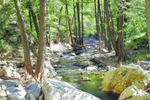 La sequía y las altas temperaturas han afectado a las masas de aguas superficiales de la provincia estos años.