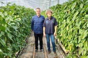 Javier Martínez, autor de la tesis, y Lola Gómez Ferrón en un invernadero.