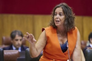 CCOO insta a la consejera Catalina García a intervenir sobre la posible privatización.