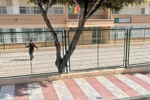 CEIP Francisco Saiz Sanz.