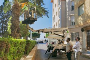 Antonio Sánchez y José Crespo comprobando los trabajos de poda puestos en marcha.