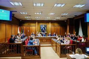 Pleno de este viernes en la Diputación Provincial.