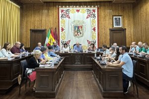 Sesión plenaria celebrada en Huércal-Overa.