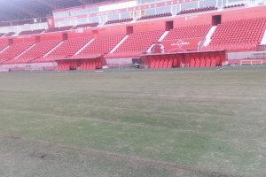 Así ha amanecido este lunes el césped del Estadio de los Juegos Mediterráneos.