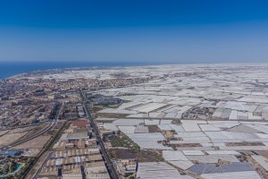 Roquetas de Mar, un auténtico paraíso agrícola