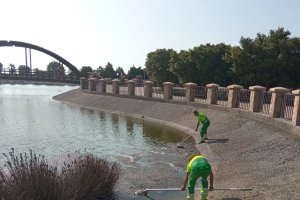 Trabajadores limpiando la suciedad que flota en el lago